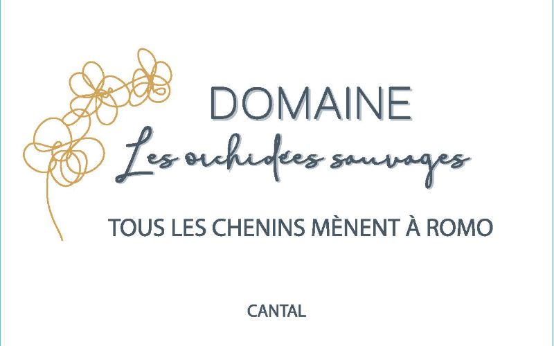 Tous les chenins mènent à Romo